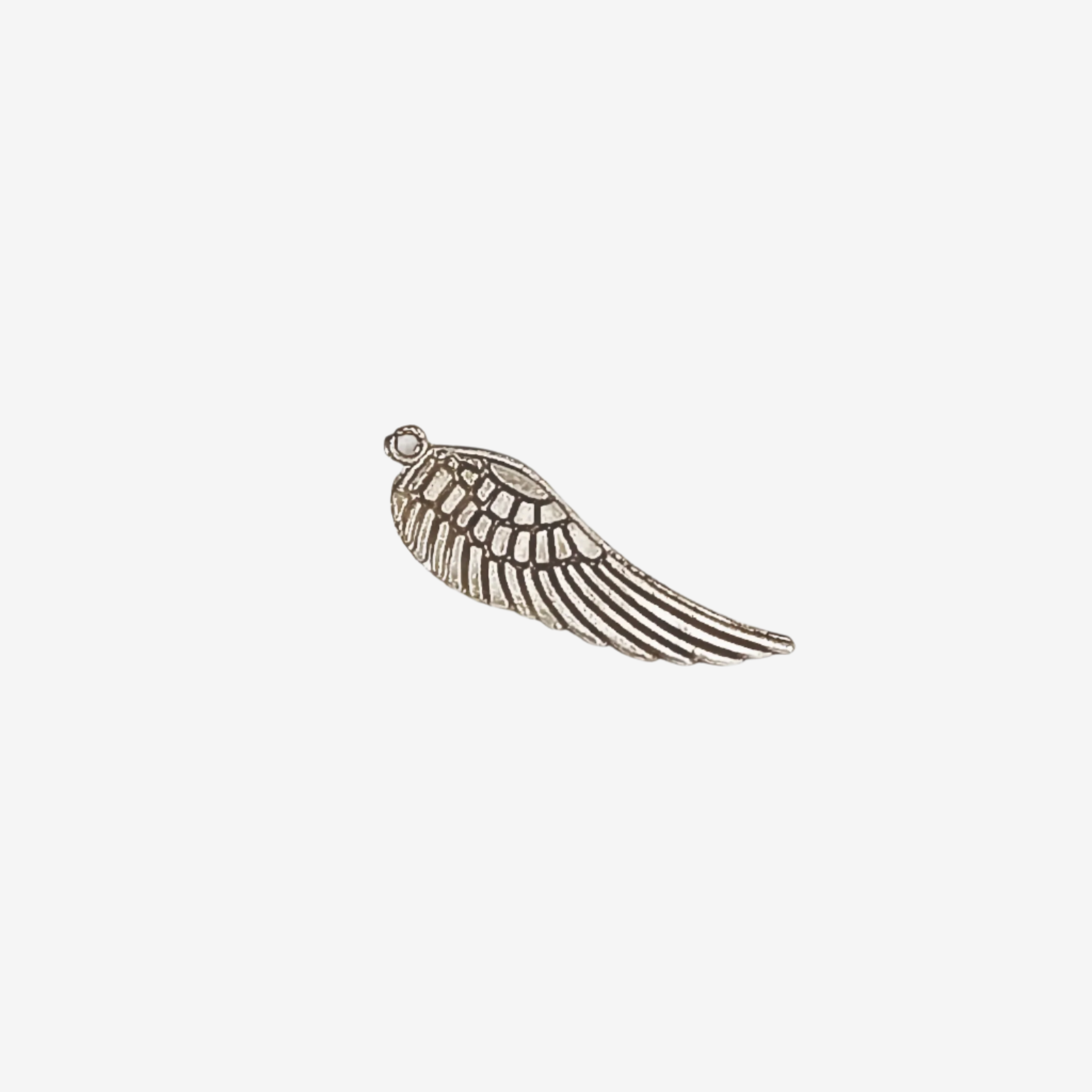 The Winged Ascent Charm