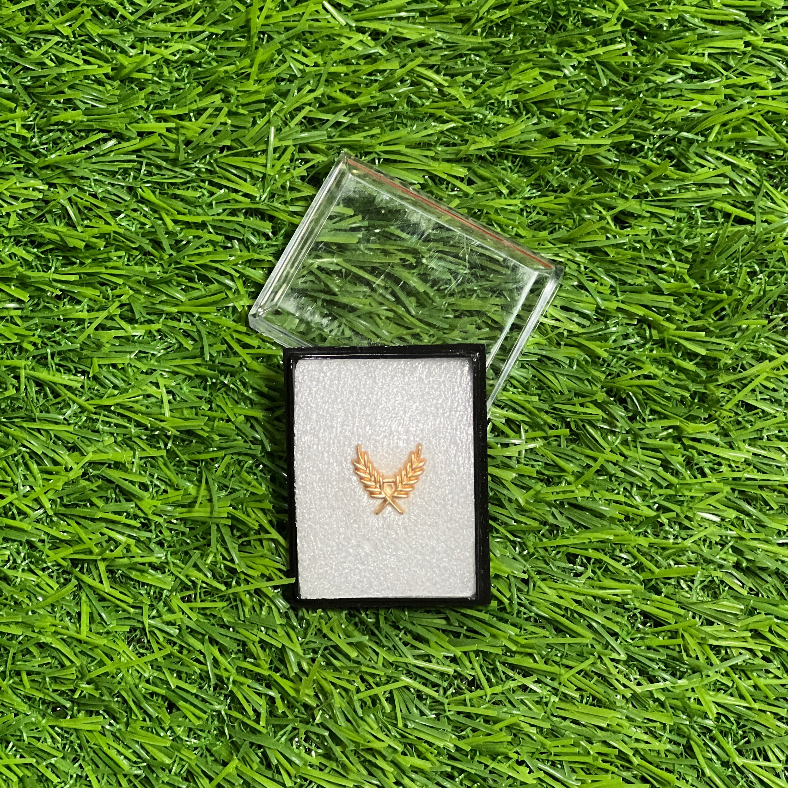 Gilded Triumph Lapel Pin