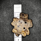 Abstract Flower Button