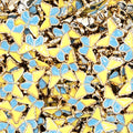 Butterfly Plastic Button
