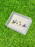 Outer Space Lapel Pin Gift Box - Set of 3