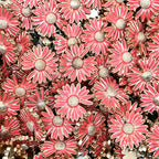 Daisy Plastic Buttons