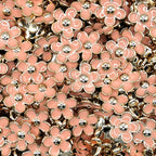 Floral Plastic Buton
