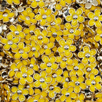 Floral Plastic Buton