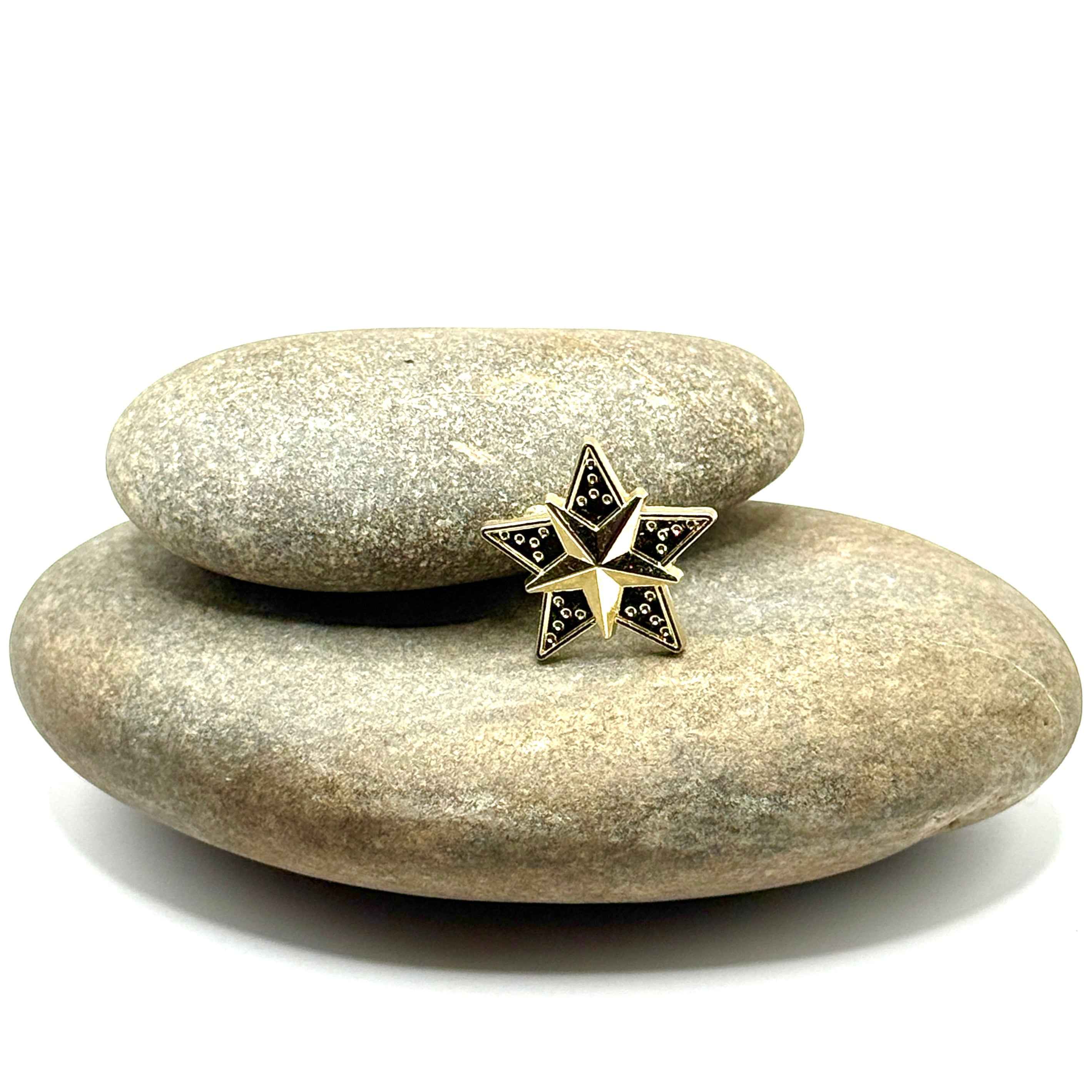 Gold Star Pin