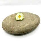 Sunny Daisy Charm Pin