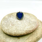 The Valiant Shield Pin