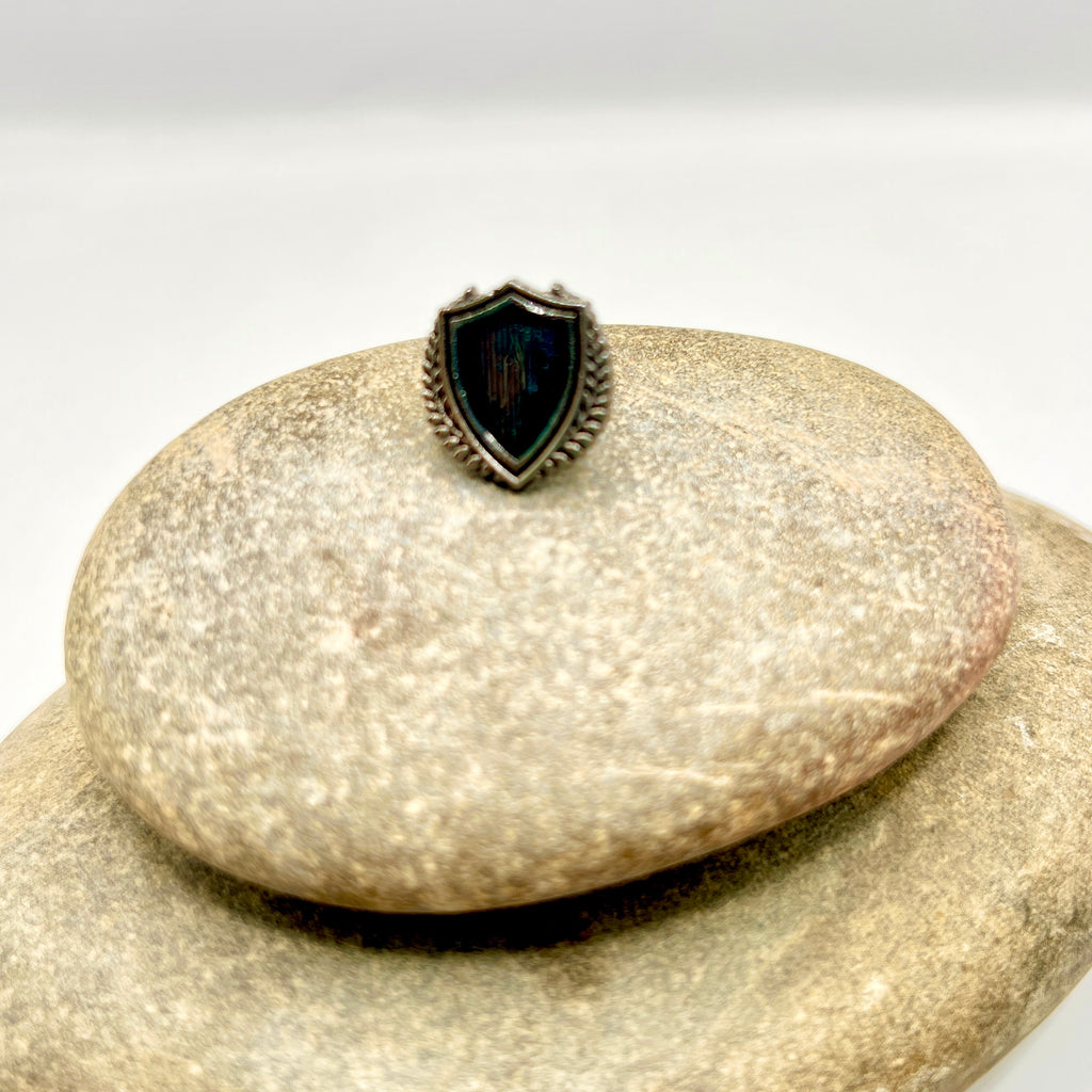 The Valiant Shield Pin