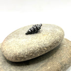 Seashell Lapel Pin