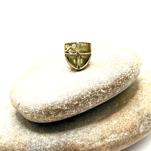 Basic Shield Lapel Pin