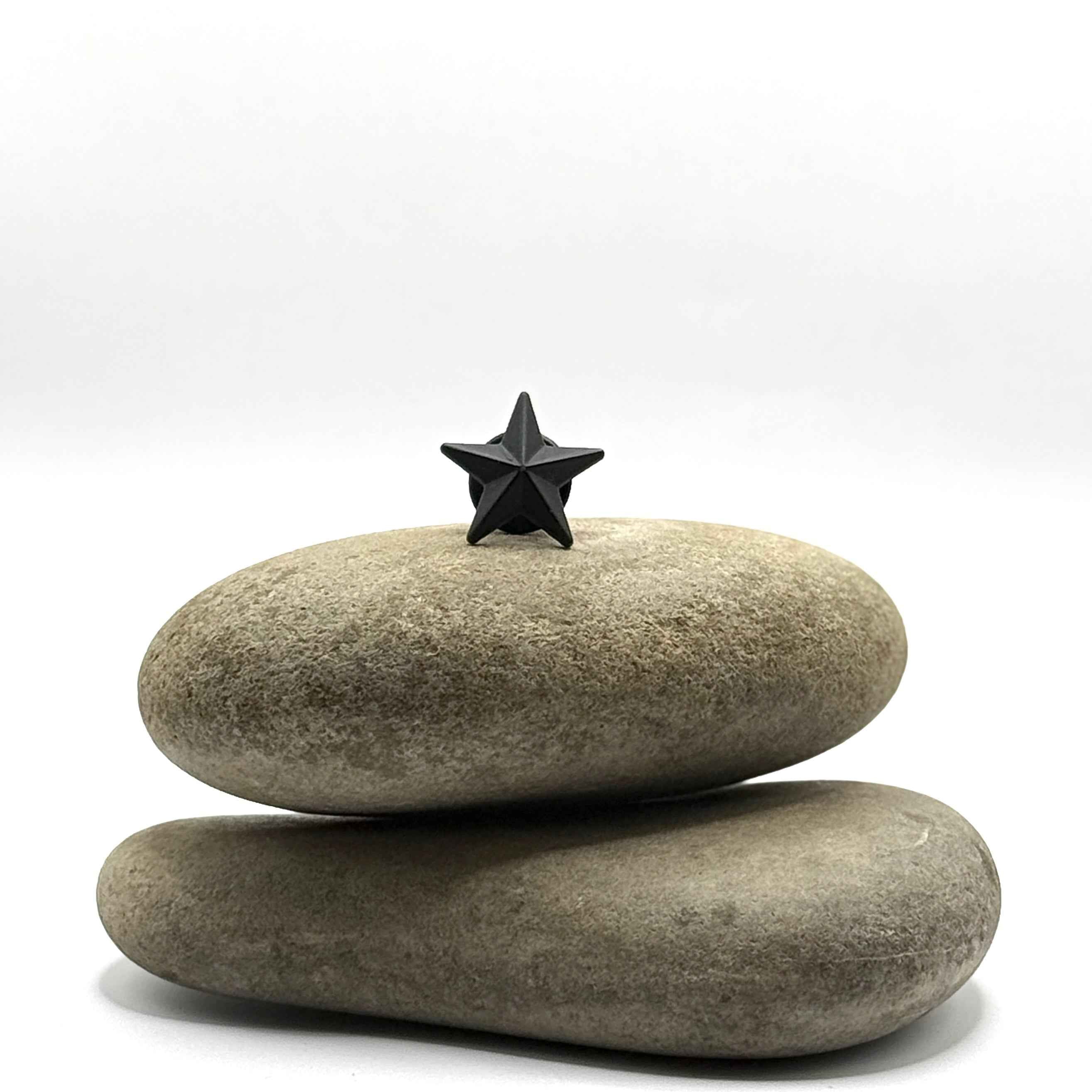 Navigator's Star Pin