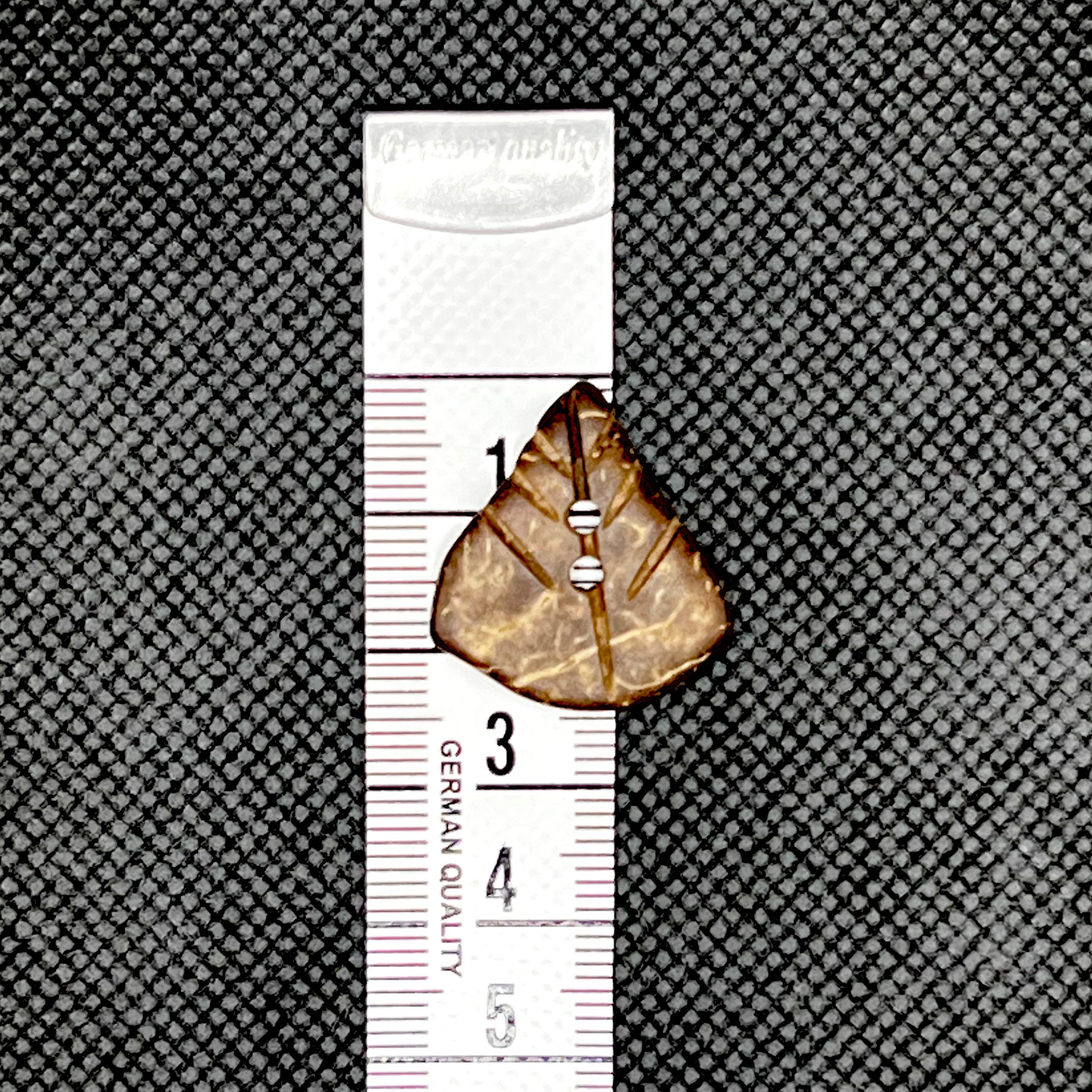 Petite Leaf Button