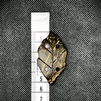 Rustic Leaf Button