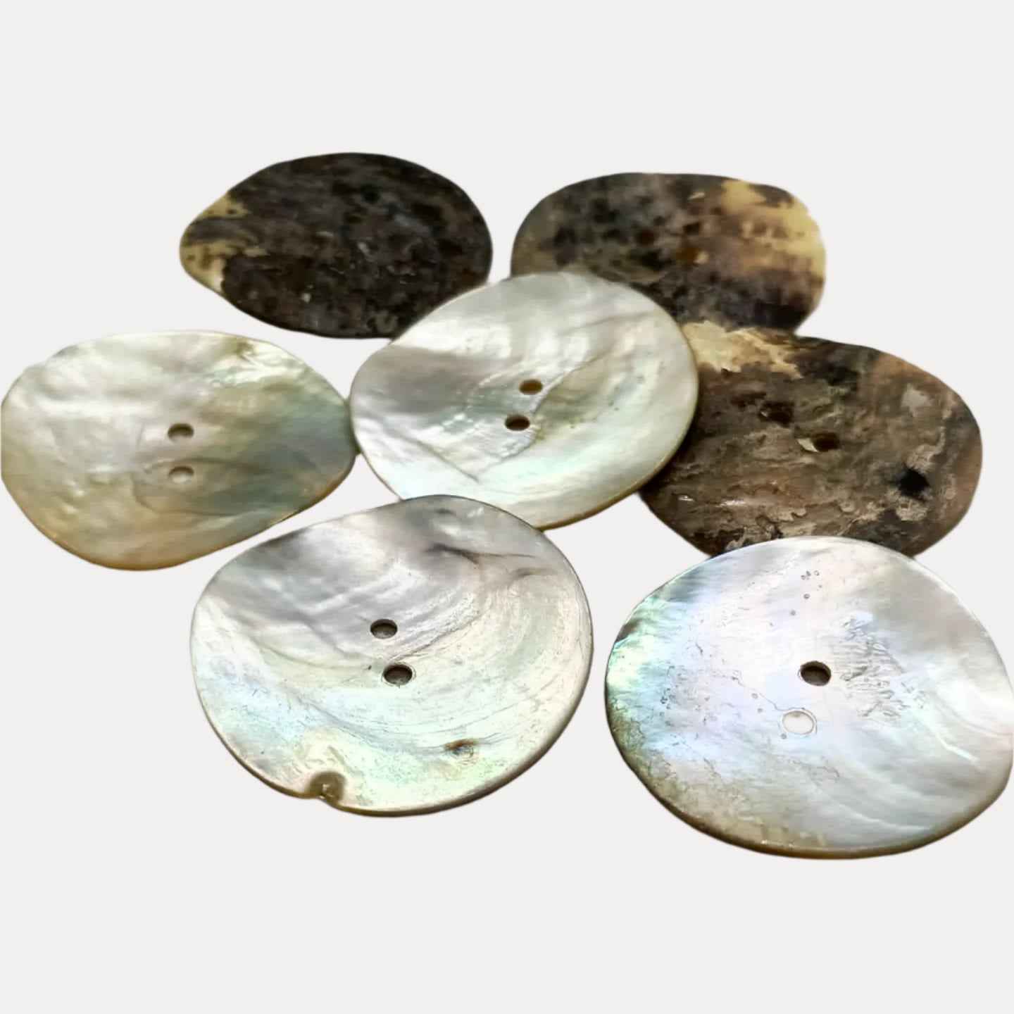 Mixed Natural Shell Buttons