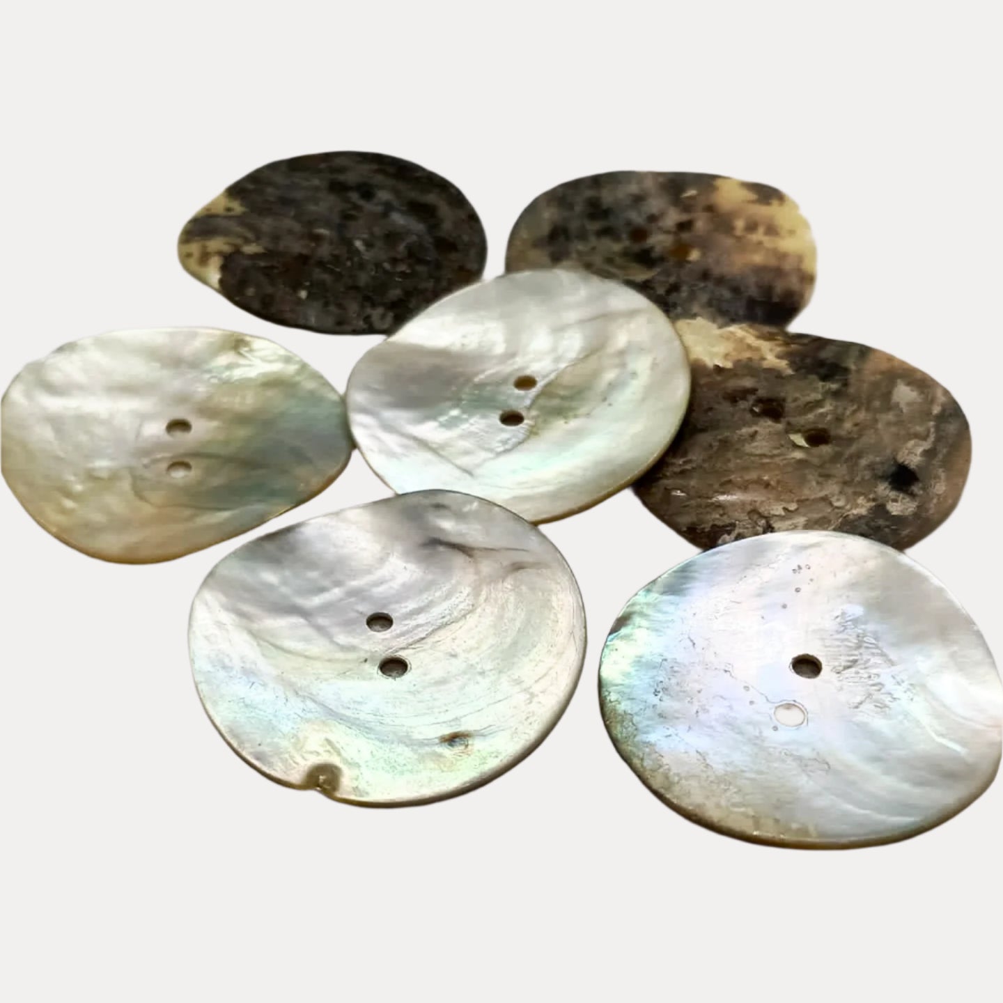 Mixed Natural Shell Buttons