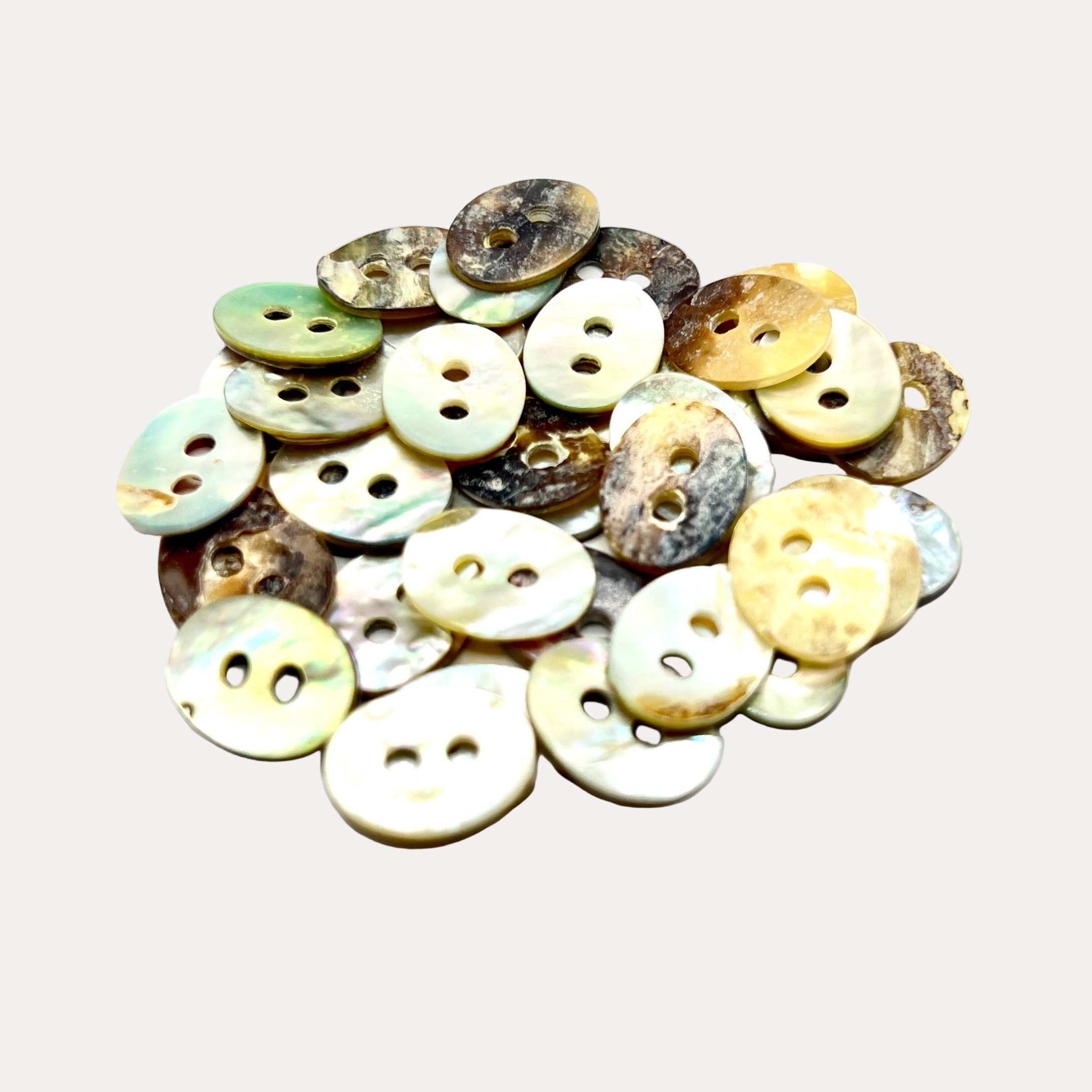 Oval Shell Buttons