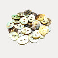 Oval Shell Buttons