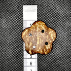 Pent Flower Button