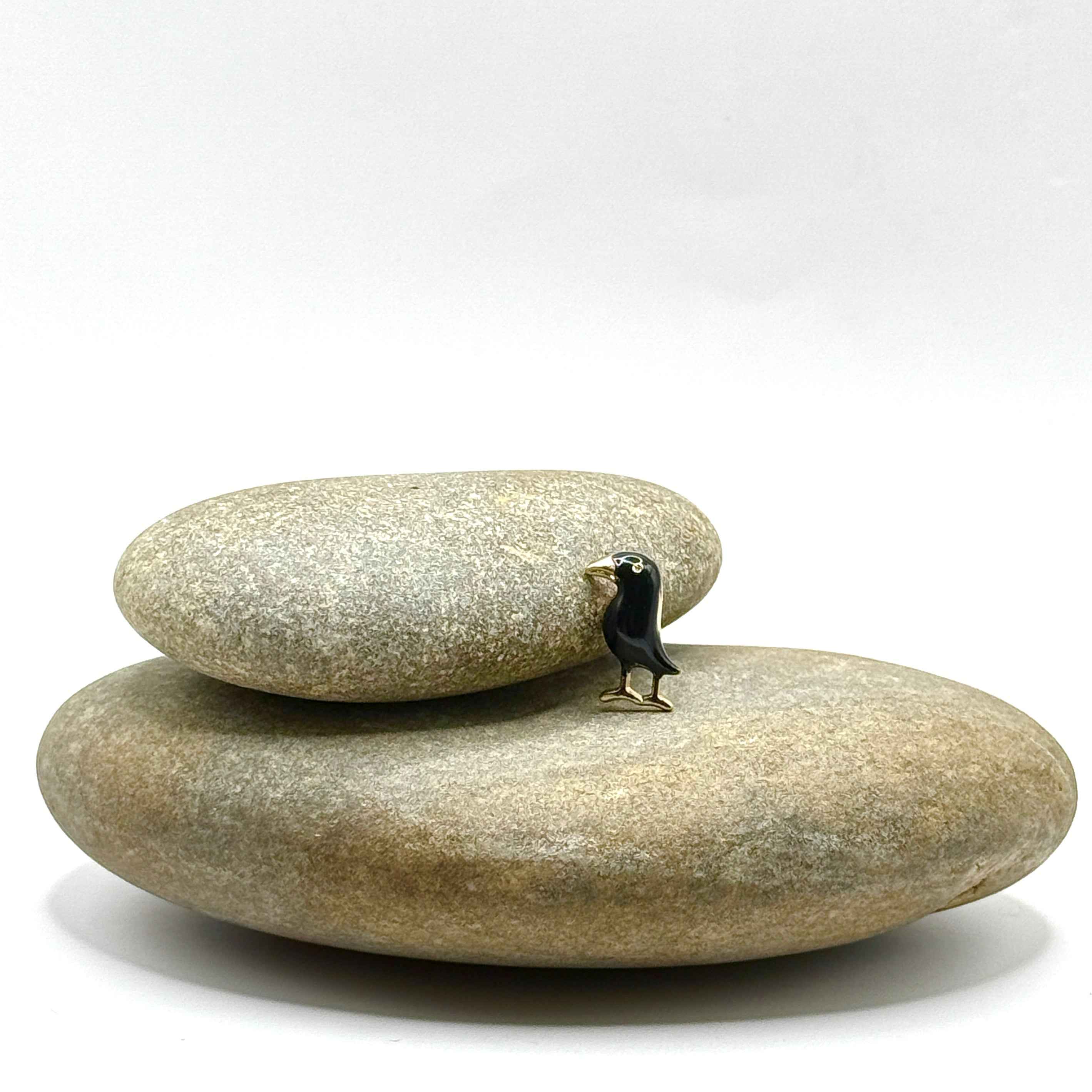 Raven Black Pin