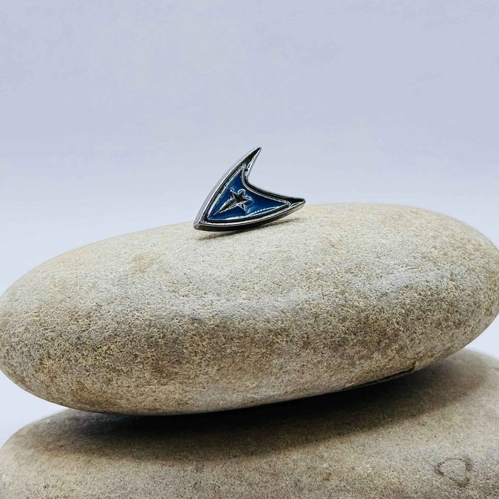 Starfleet Insignia Pin