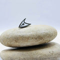 Starfleet Insignia Pin