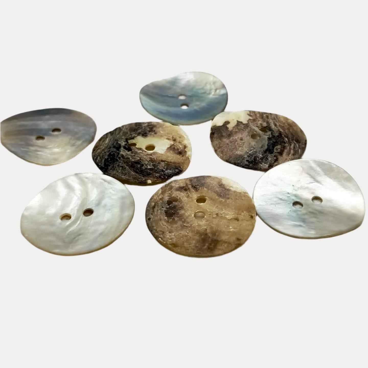 Rustic Natural Shell Buttons