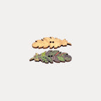 Willow Leaf Wood Buttons
